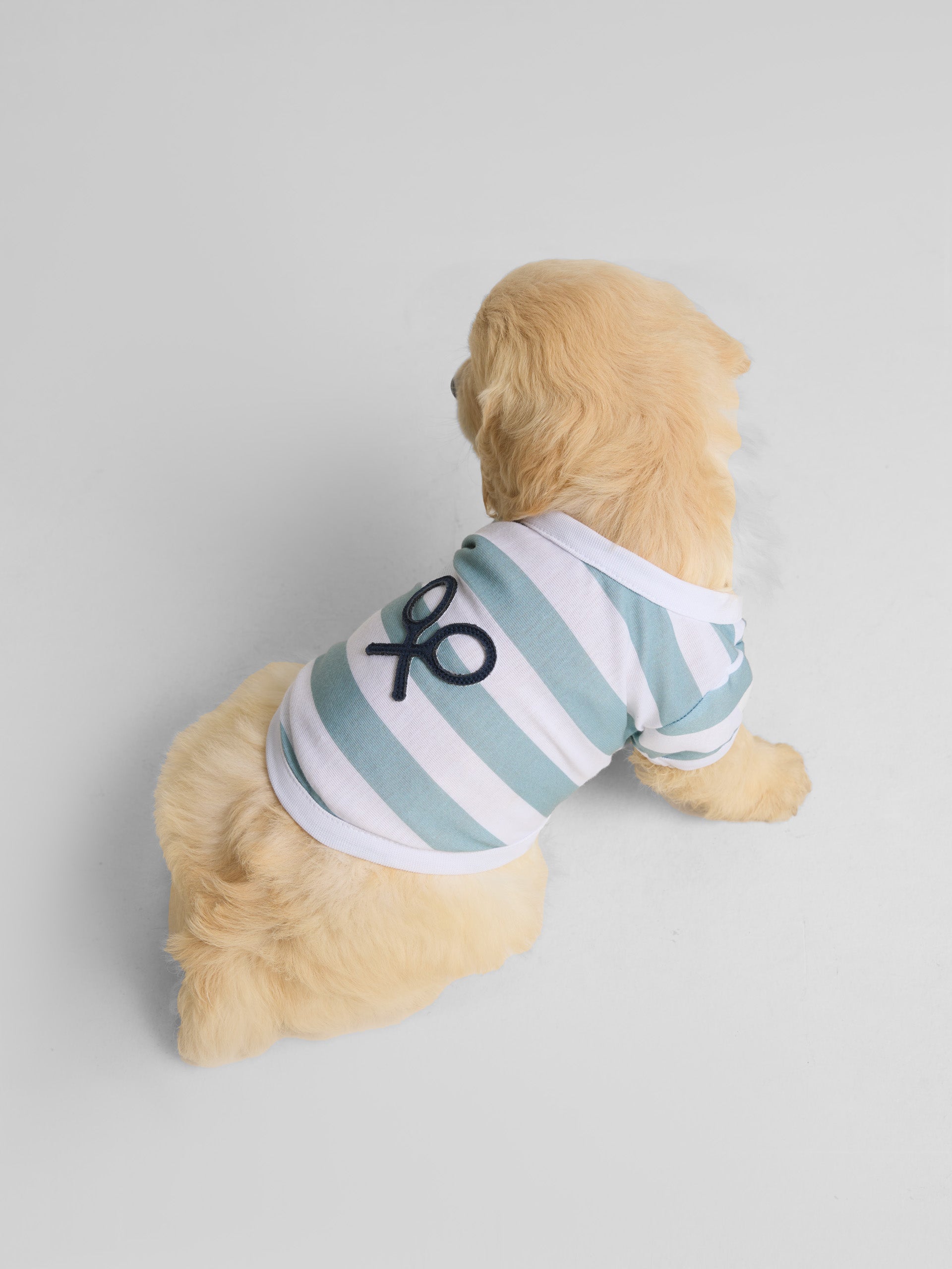 Camiseta mascotas nautica verde