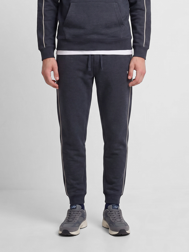 Pantalon chandal sb gris