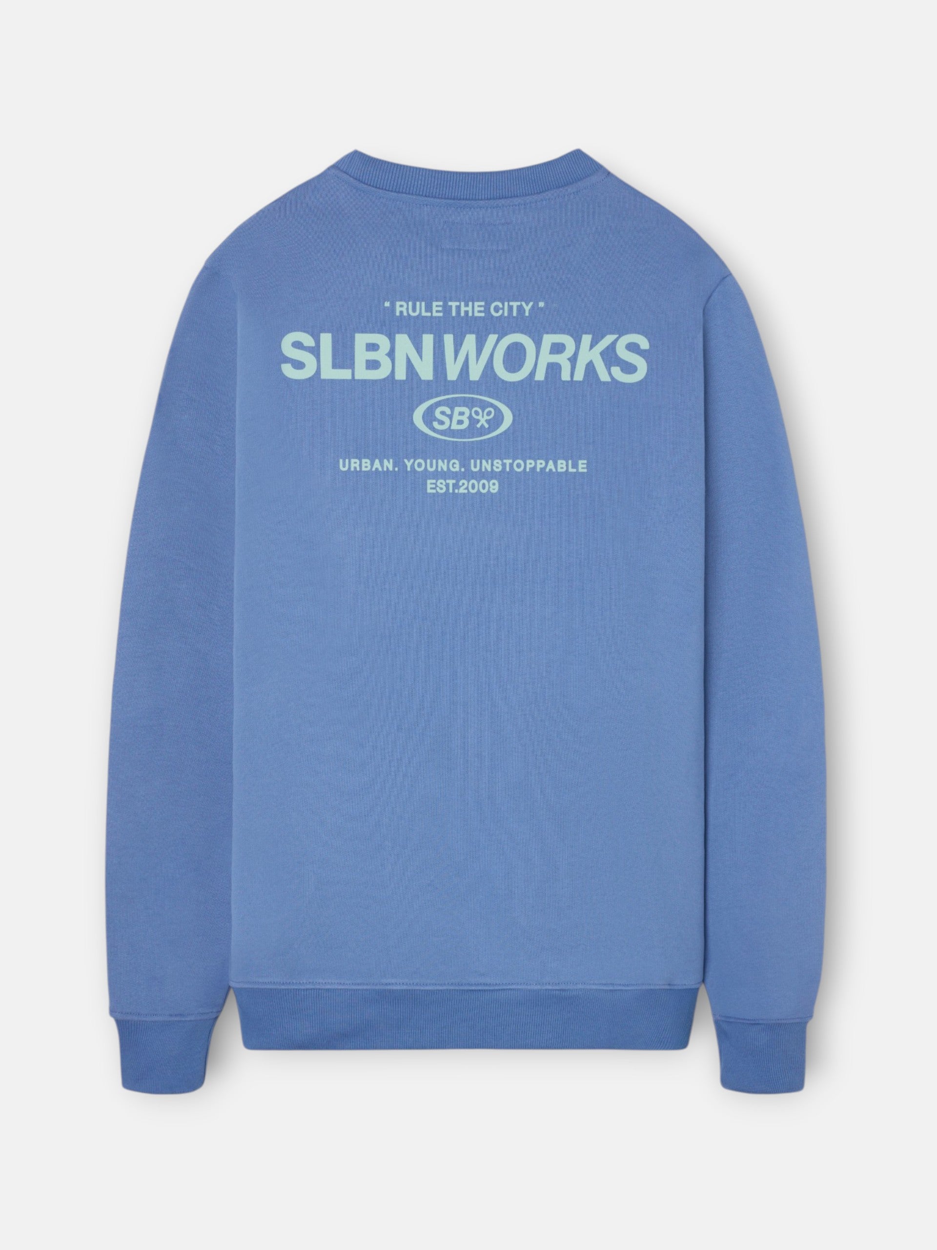 Sudadera slbn works azul