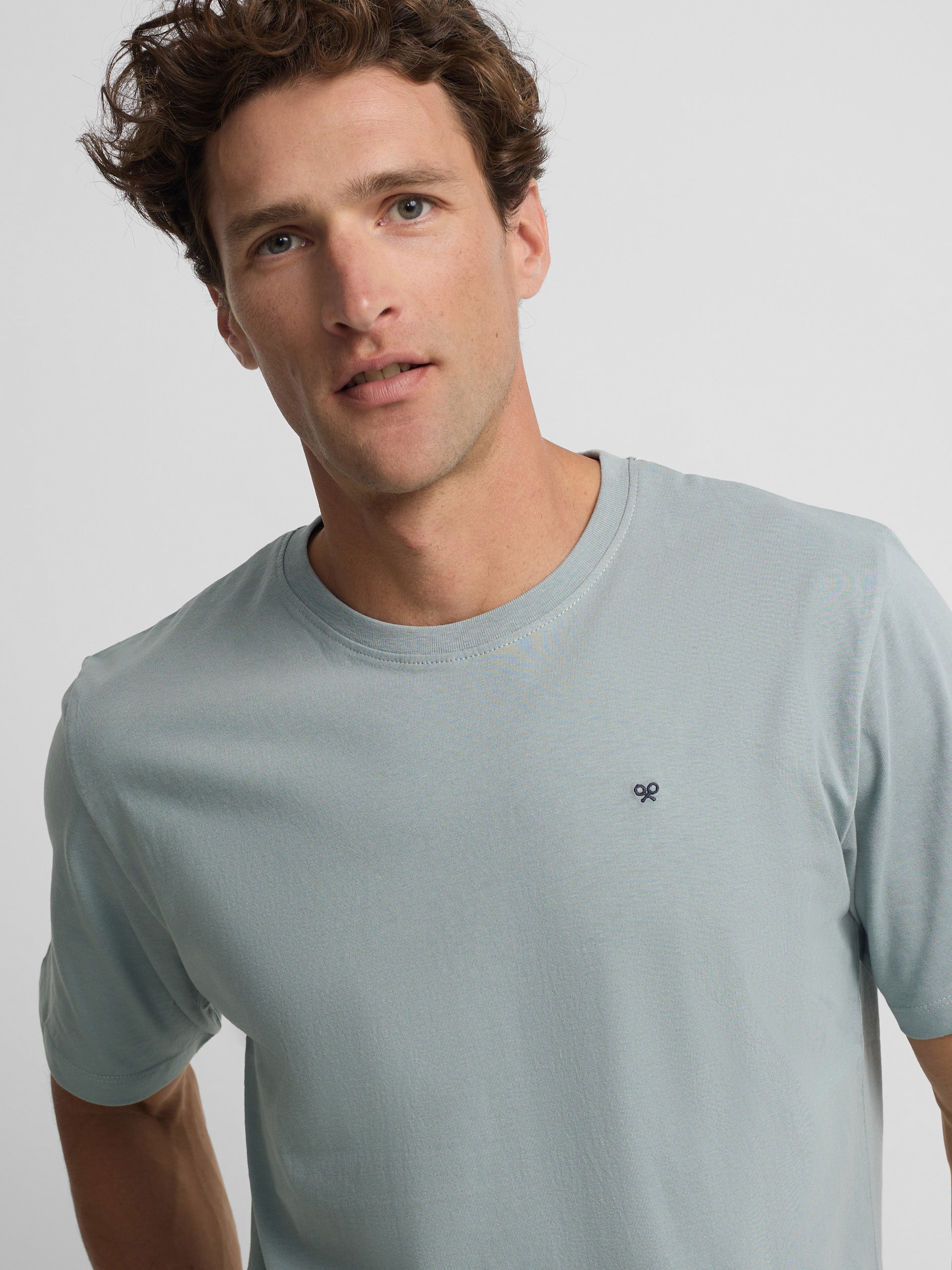 Camiseta minilogo verde cinzento