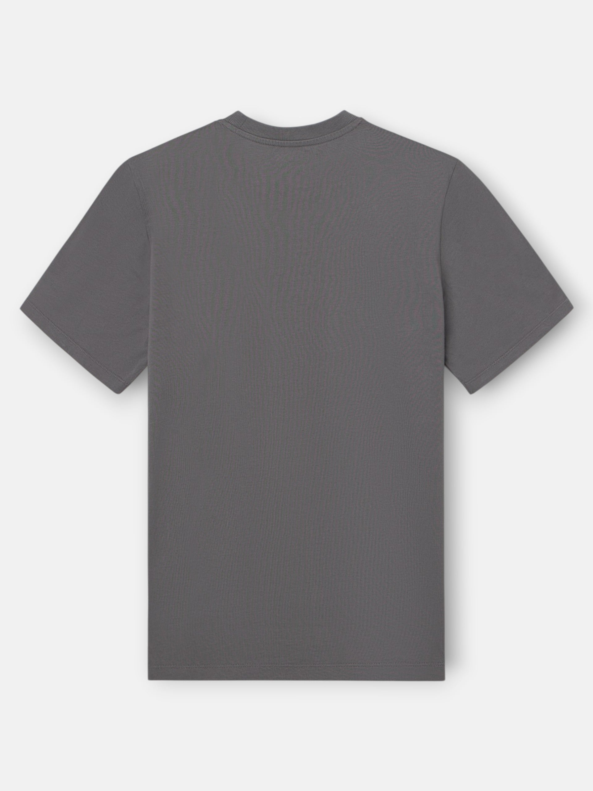 Camiseta clasica bolsillo minilogo gris