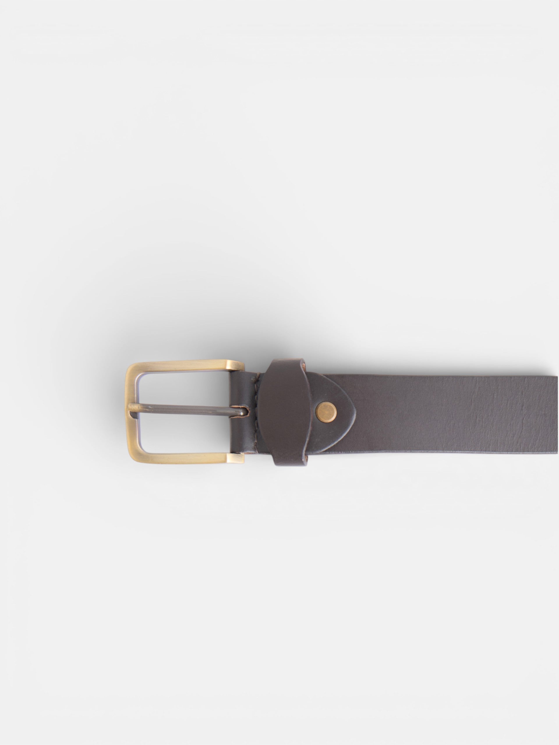Argentinian tricolor brown leather belt