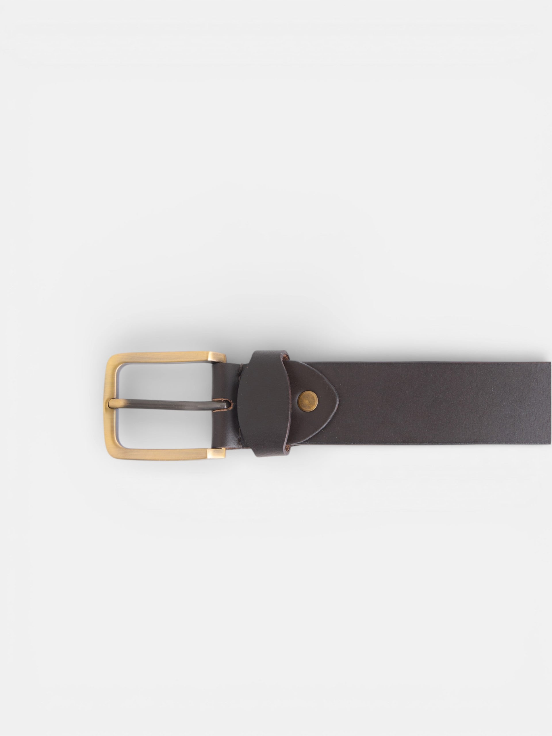Argentinian bicolor leather belt brown