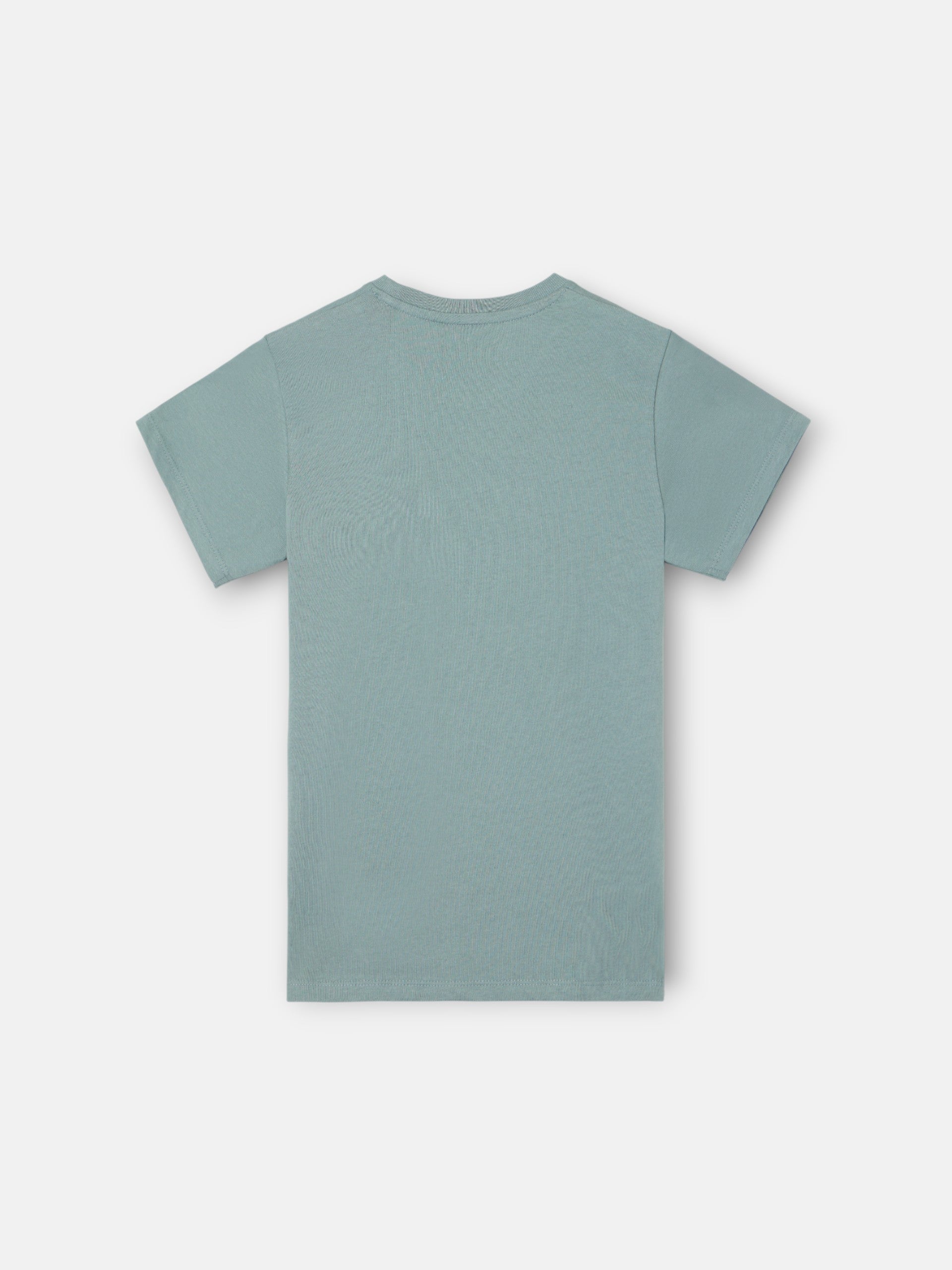 Camiseta kids SLBN verde