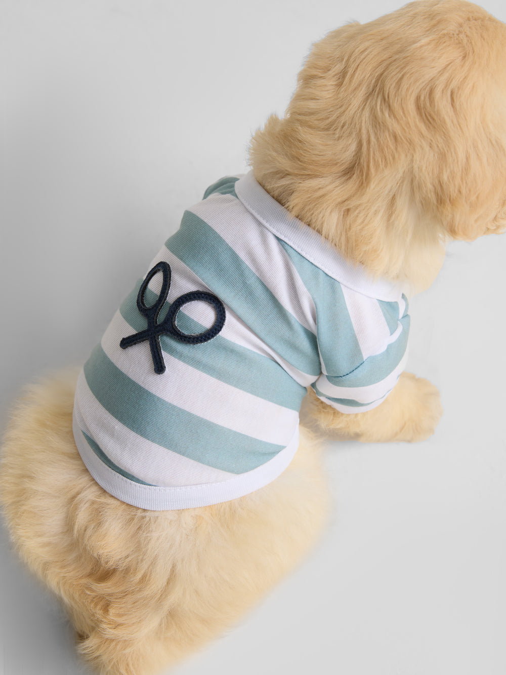 Camiseta mascotas nautica verde