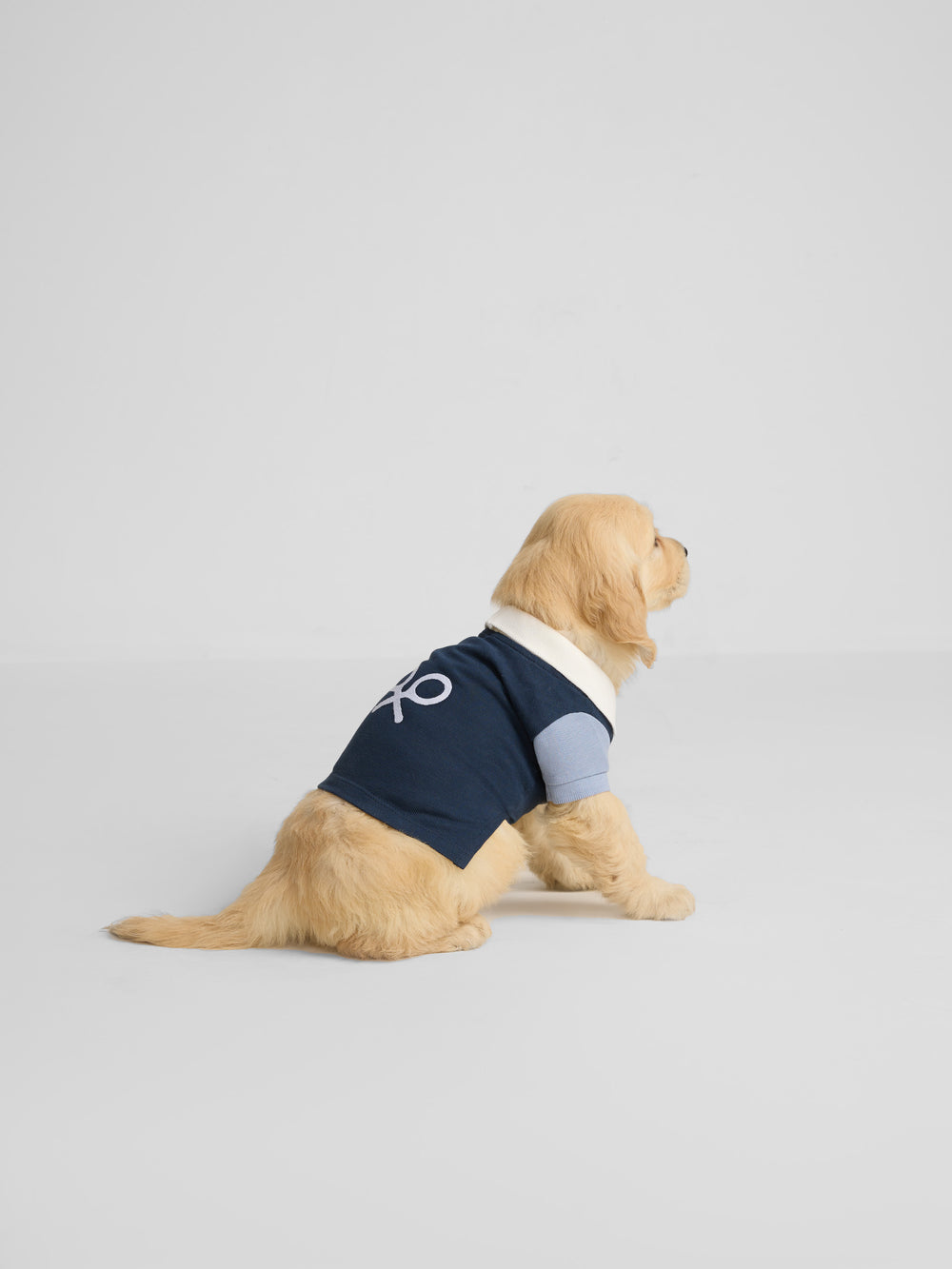 Polo mascotas multicolor azul marino