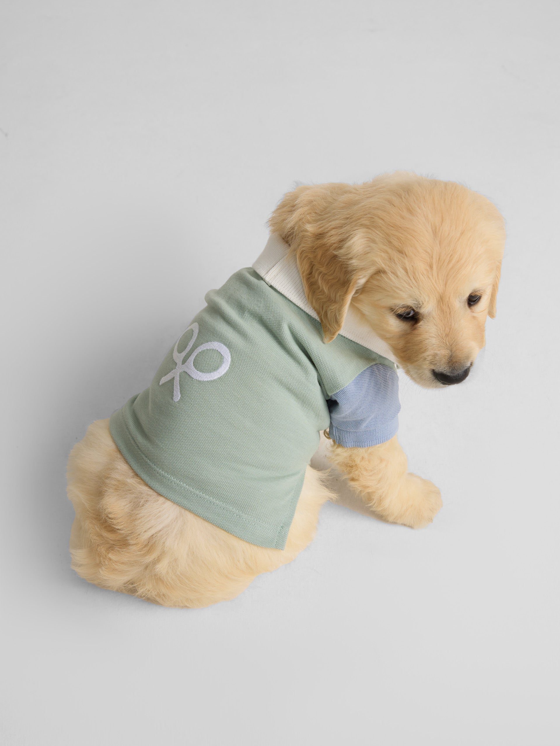 Polo mascotas multicolor verde