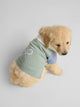 Polo mascotas multicolor verde