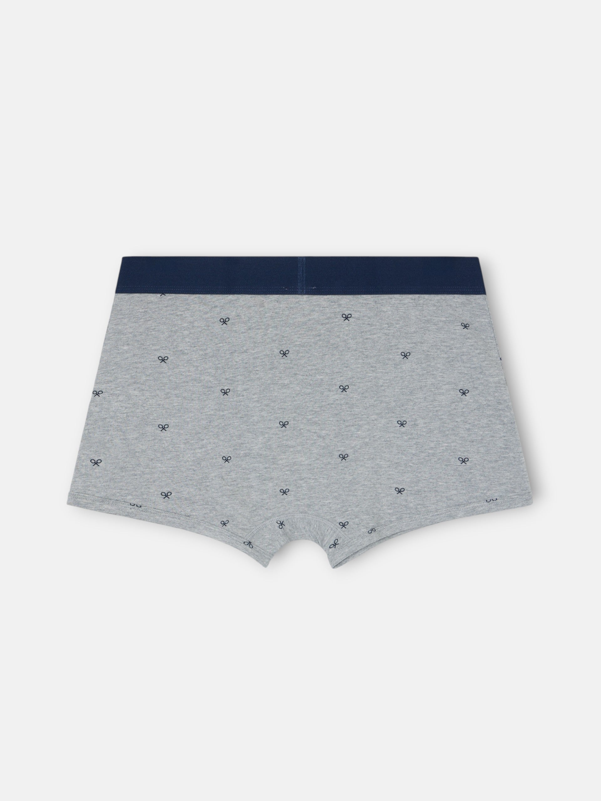 Grey rackets boxer
