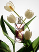 Perfume silbon woman rosa