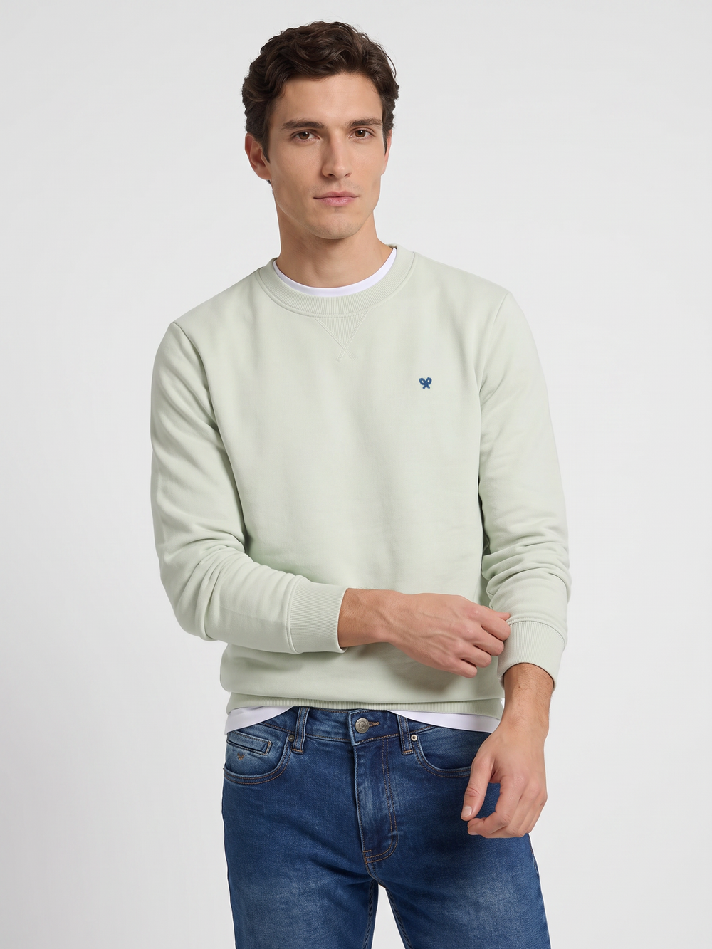 Plain sweatshirt with small terry logo in light green