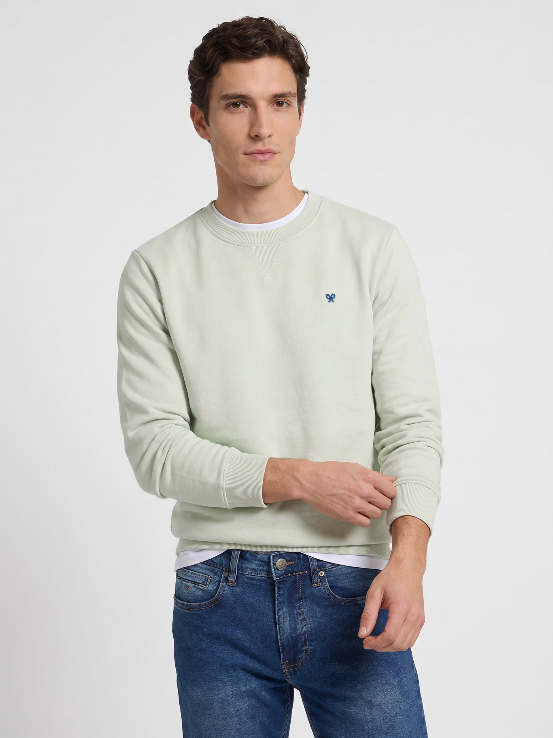 Plain sweatshirt with small terry logo in light green
