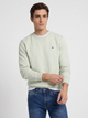 Plain sweatshirt with small terry logo in light green
