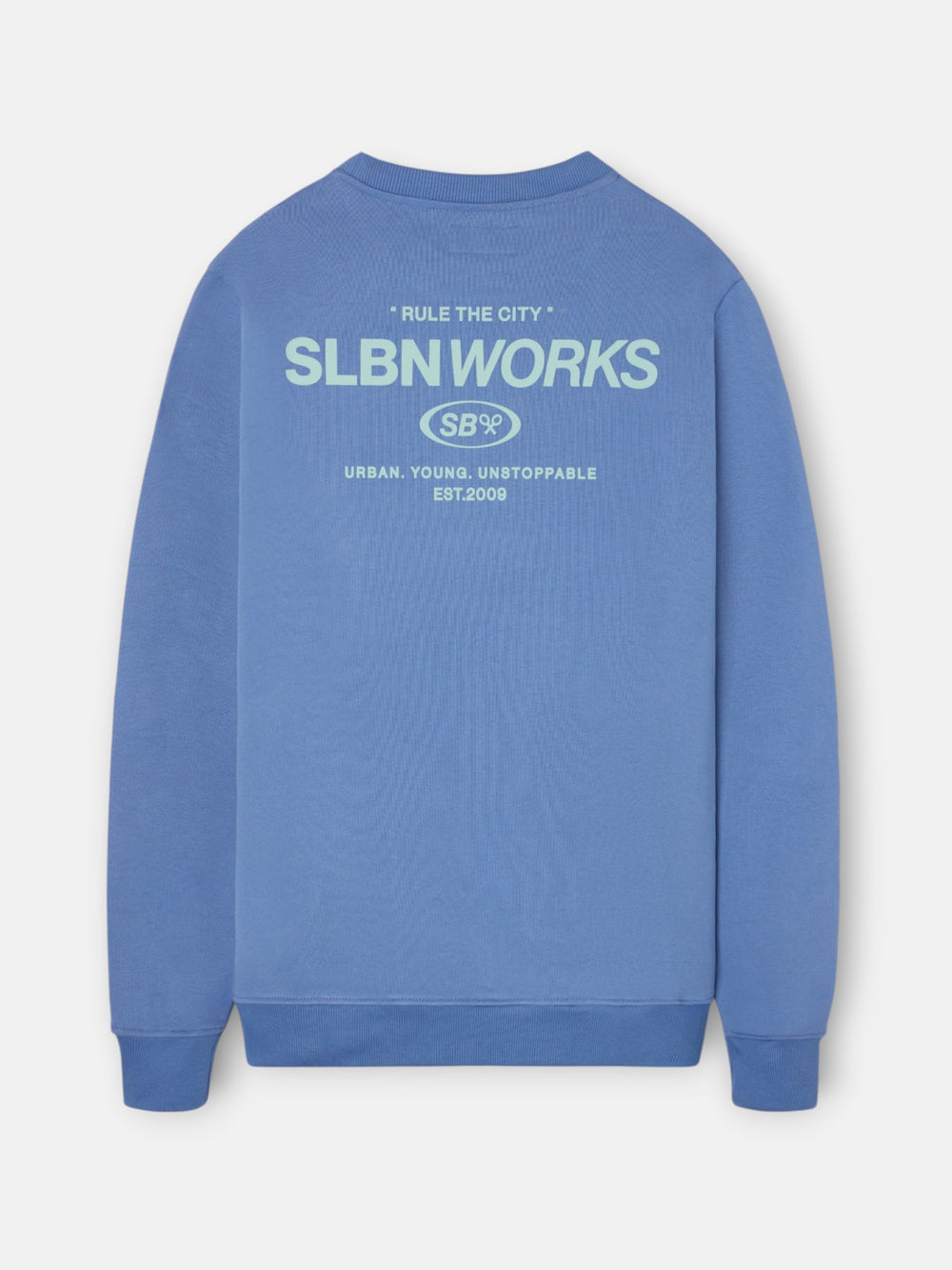 Sudadera slbn works azul