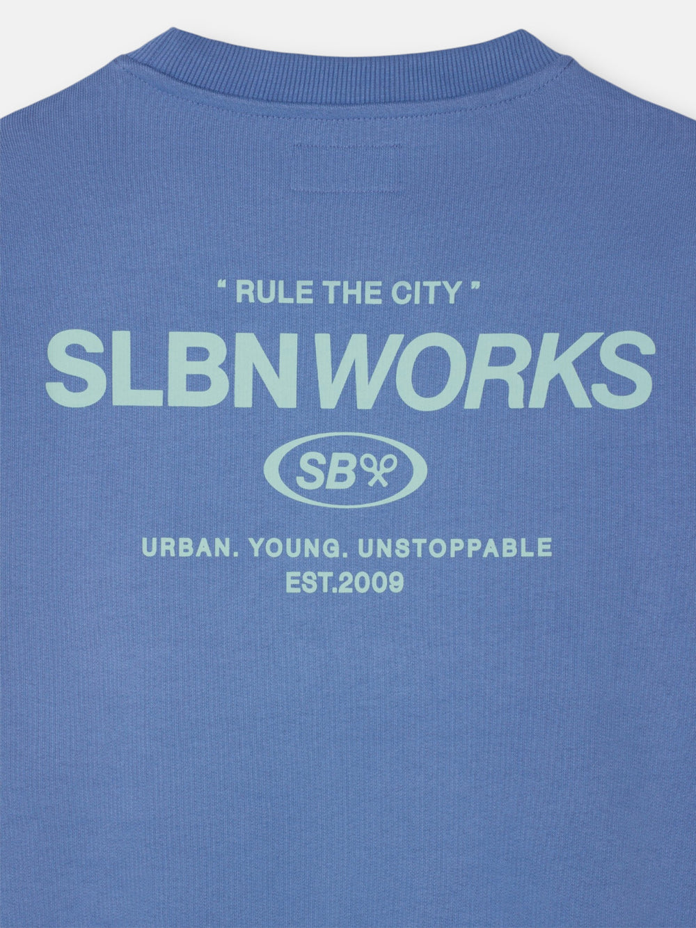 Sudadera slbn works azul