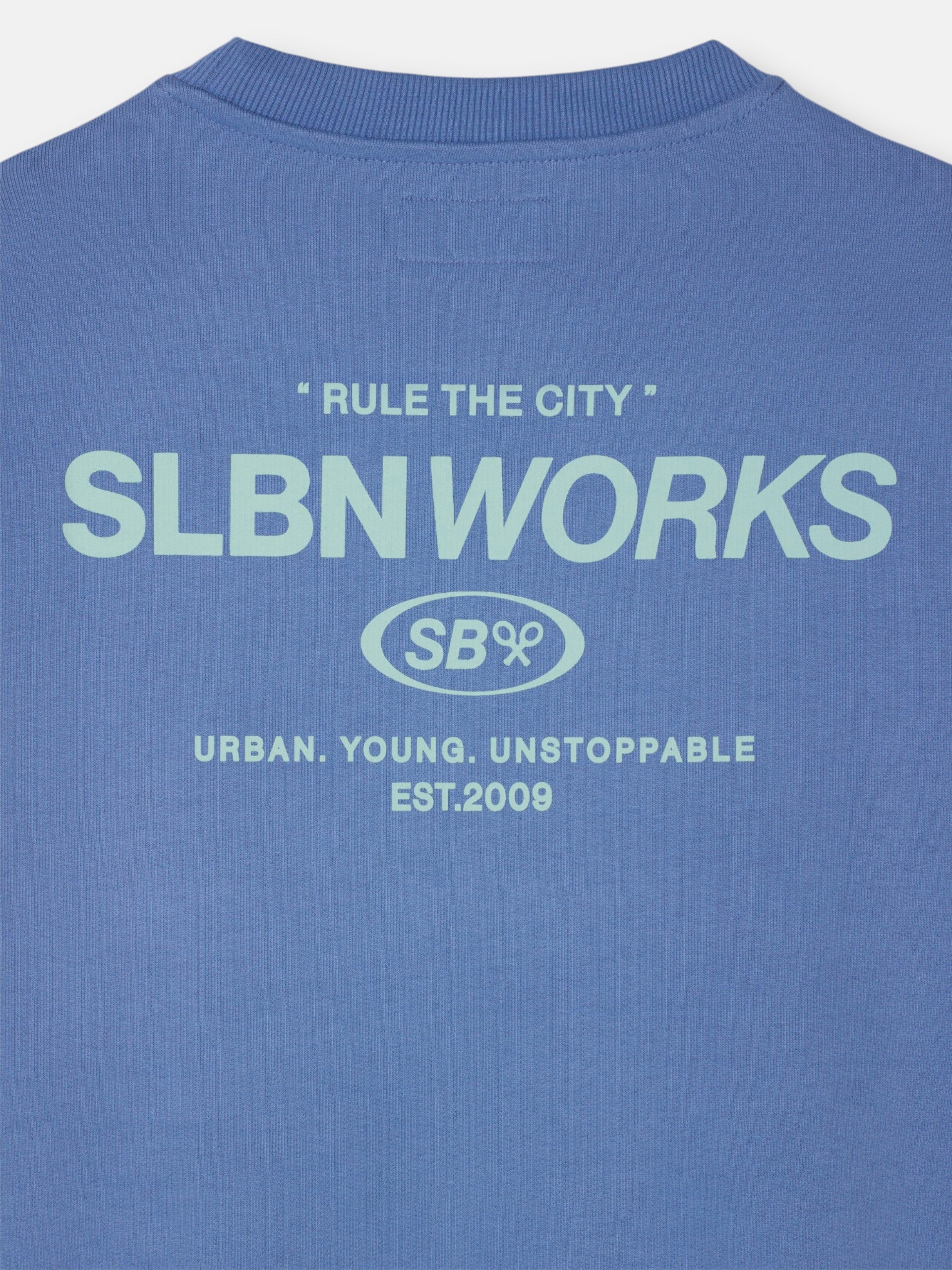 Sudadera slbn works azul