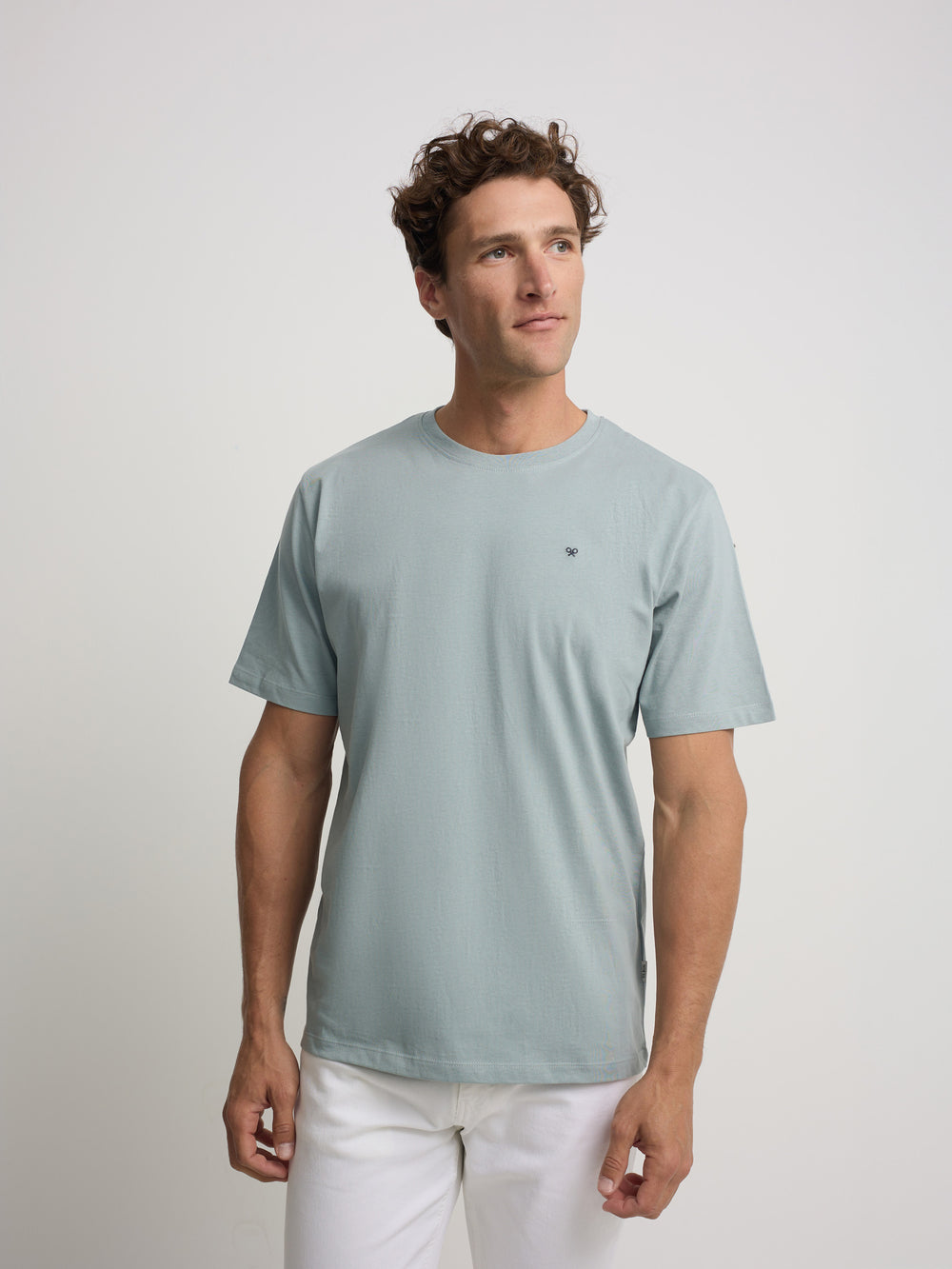 Camiseta minilogo verde gris