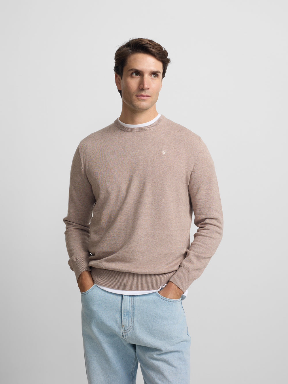 Plain sweater with crew neck in medium beige