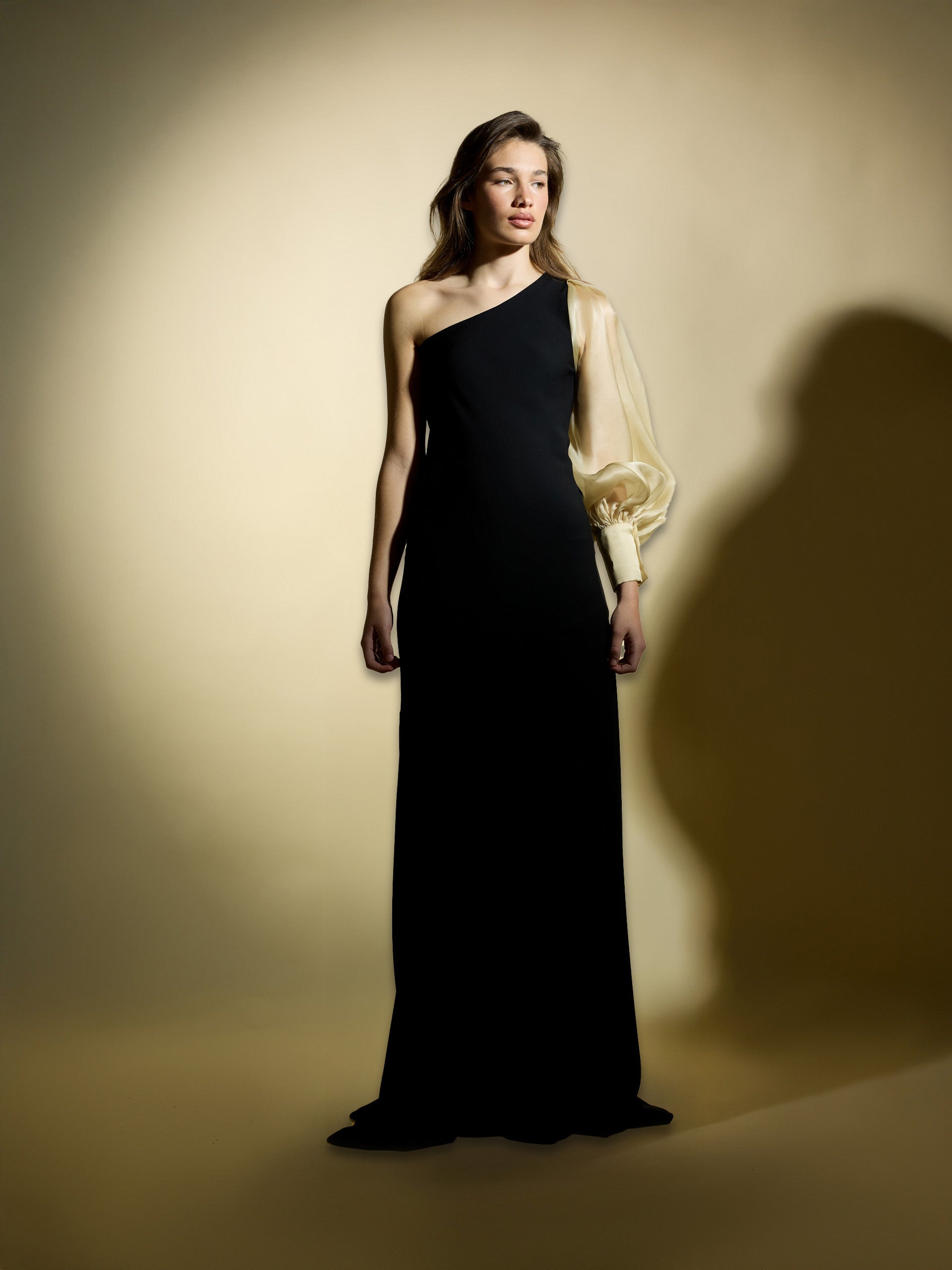 Vestido CaprilexSilbon manga asimétrica organza