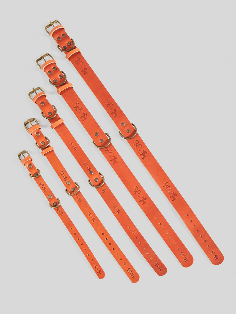 Collar perro SILBONxLADRANGAUCHO cuero