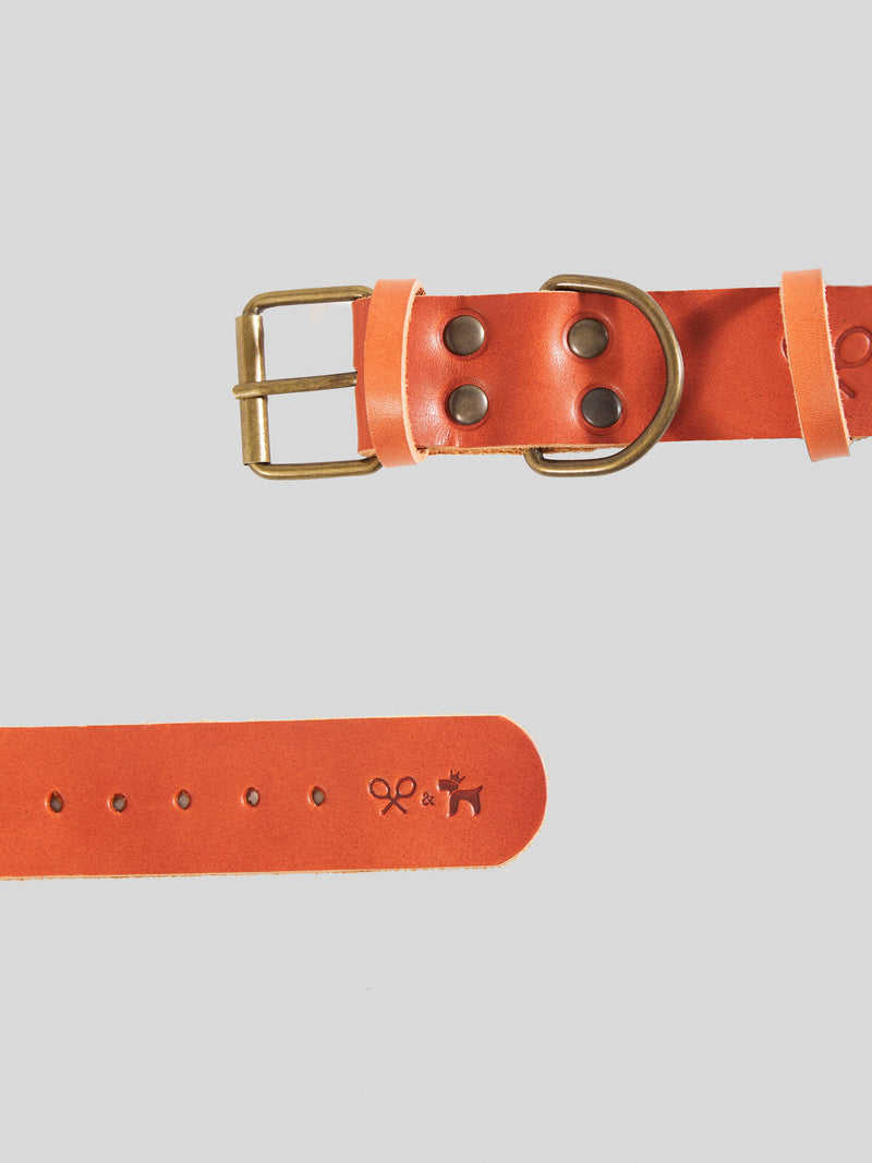 Collar perro SILBONxLADRANGAUCHO cuero